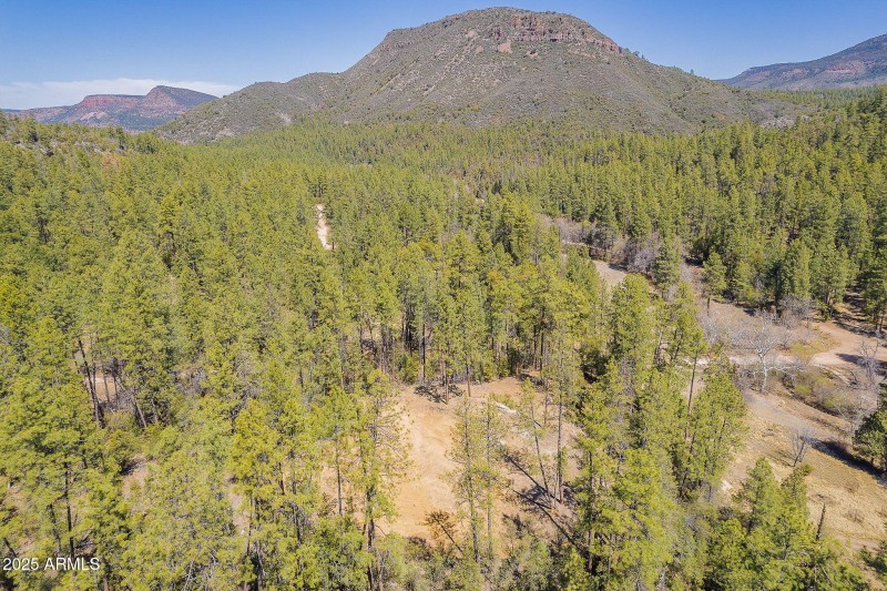 Workman Creek