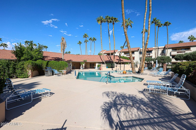 SWIMMING POOL/SPA AREA