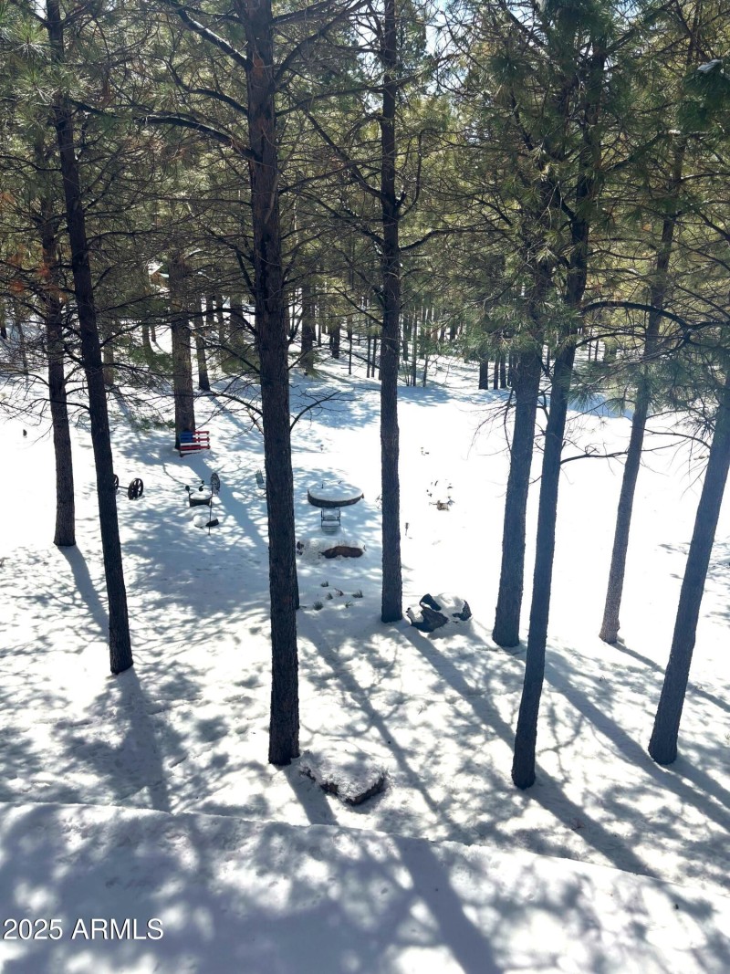 Winter Pic in Back