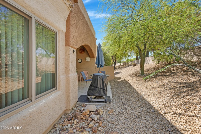 Back yard