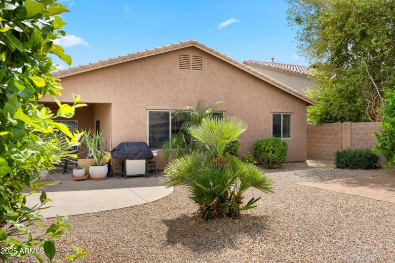Back yard
