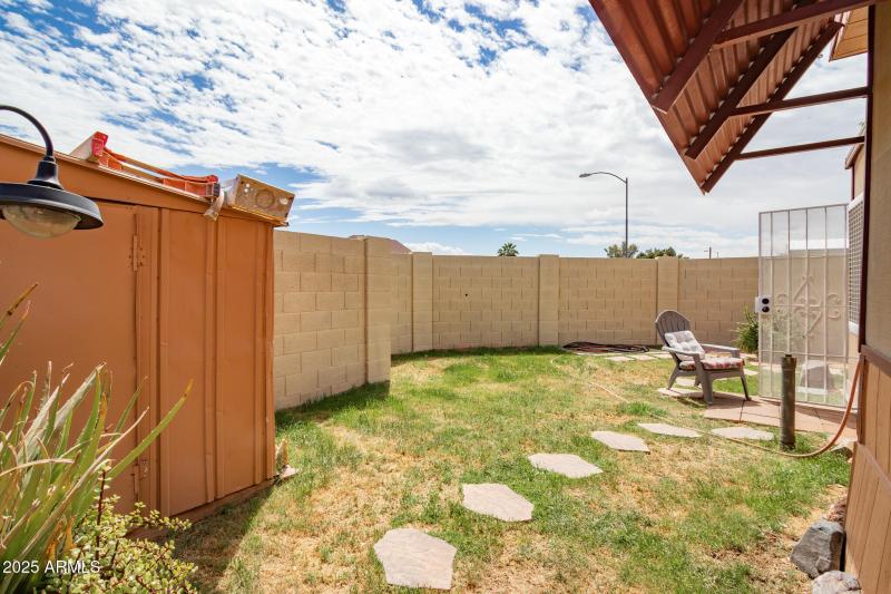 Backyard