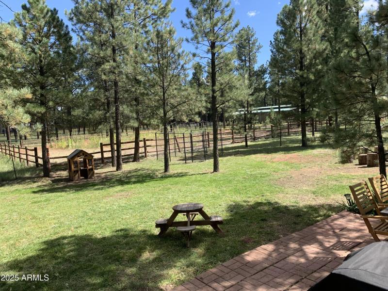 main yard