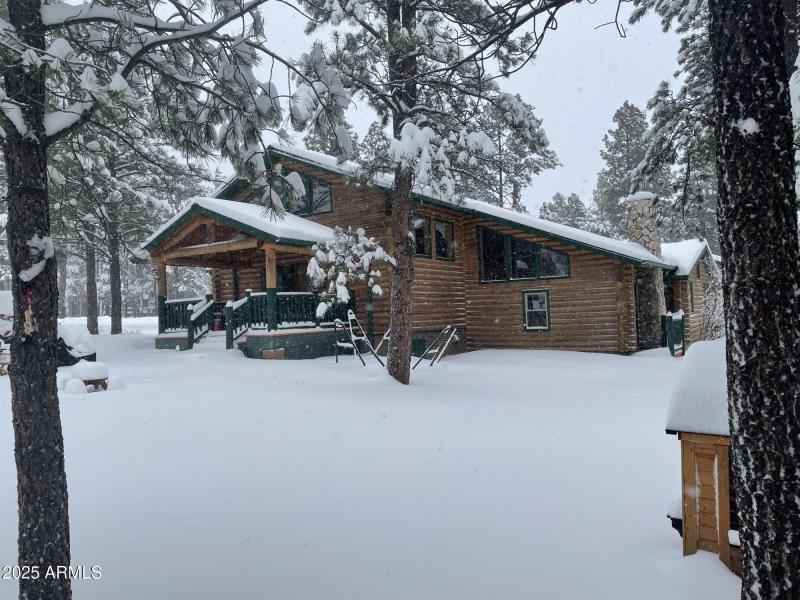 winter wonderland
