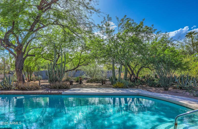 Expansive Backyard