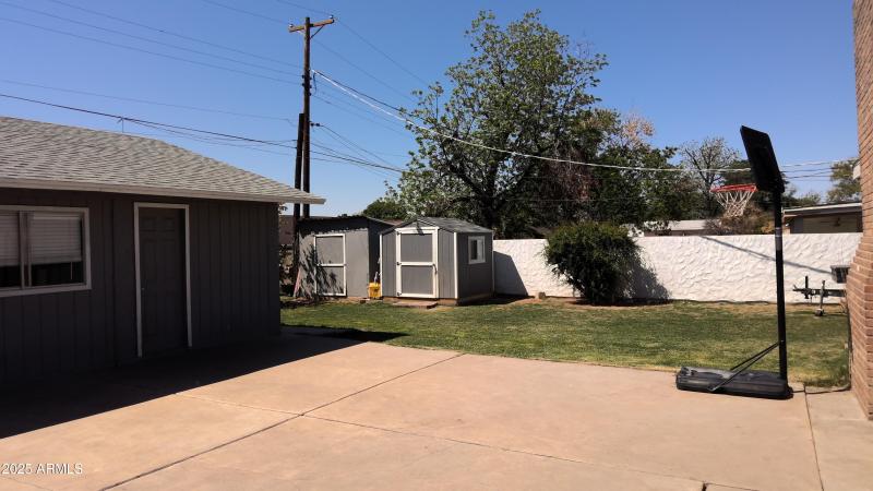 Back yard1