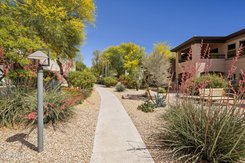 Walking Paths