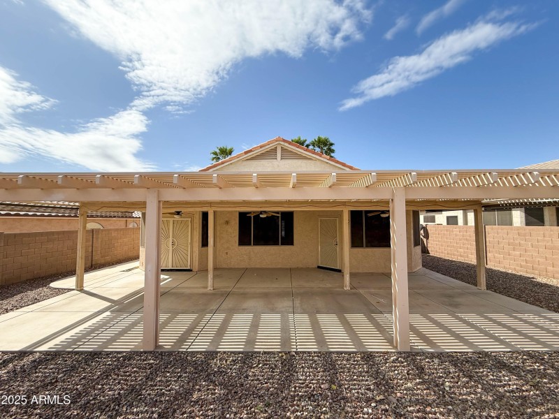 Backyard Back