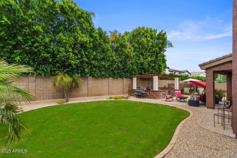 Back yard 2