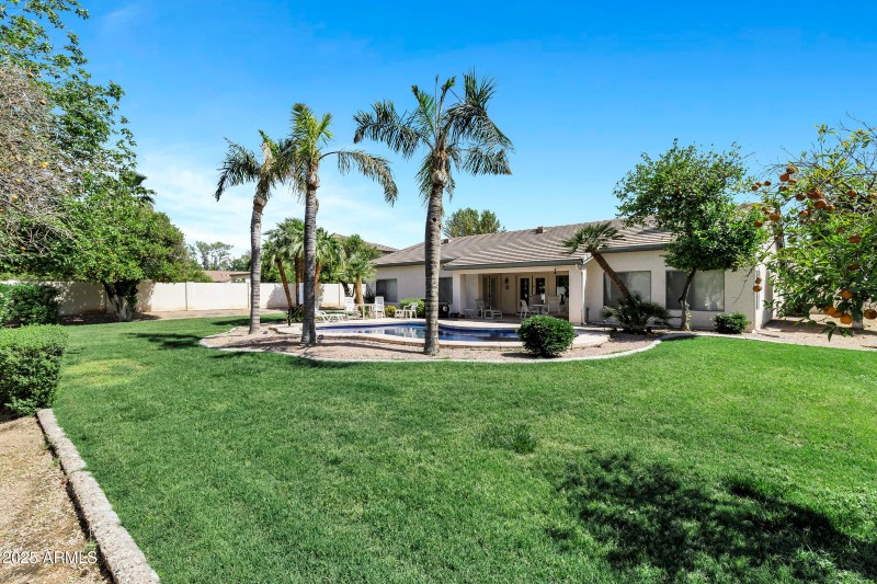 Backyard Oasis
