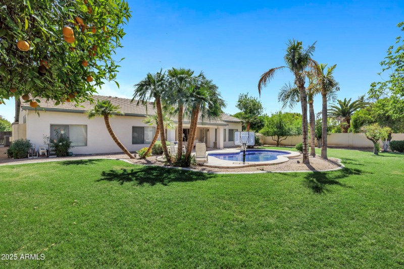 Backyard Oasis