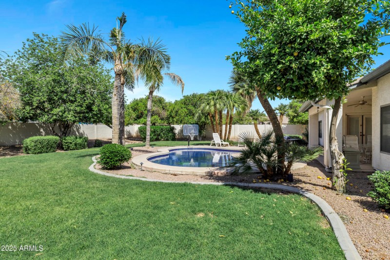 Backyard Oasis