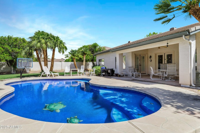 Backyard Oasis