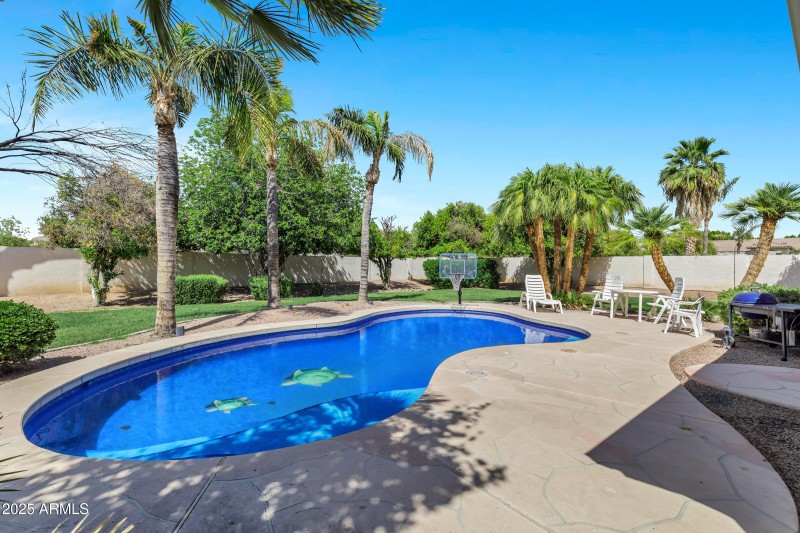Backyard Oasis