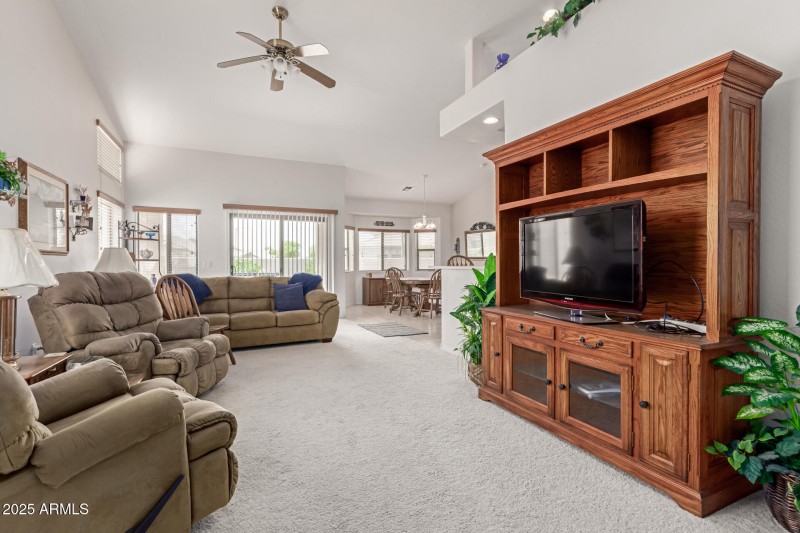 07 - Desert Willow