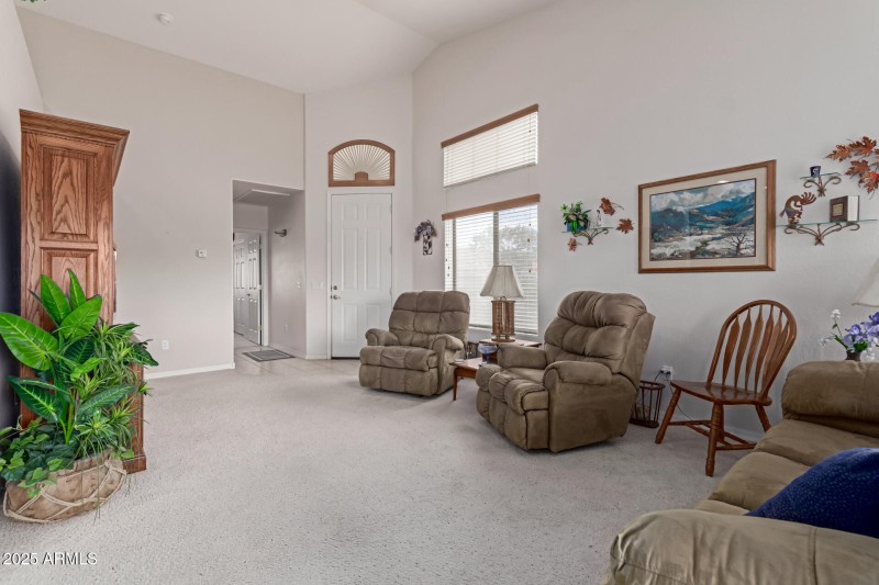 11 - Desert Willow