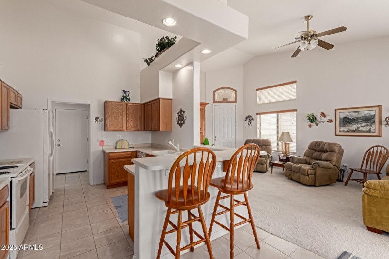 14 - Desert Willow
