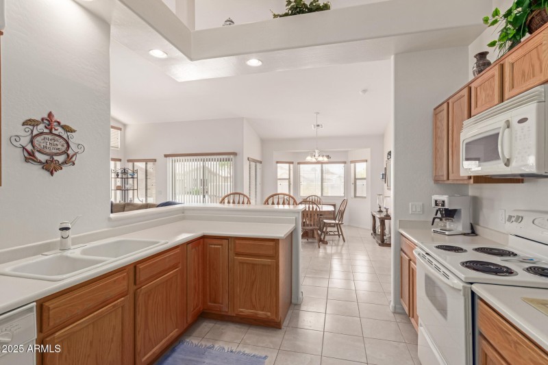 18 - Desert Willow