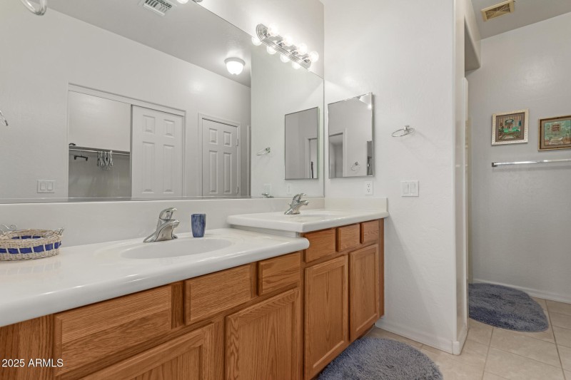 24 - Desert Willow