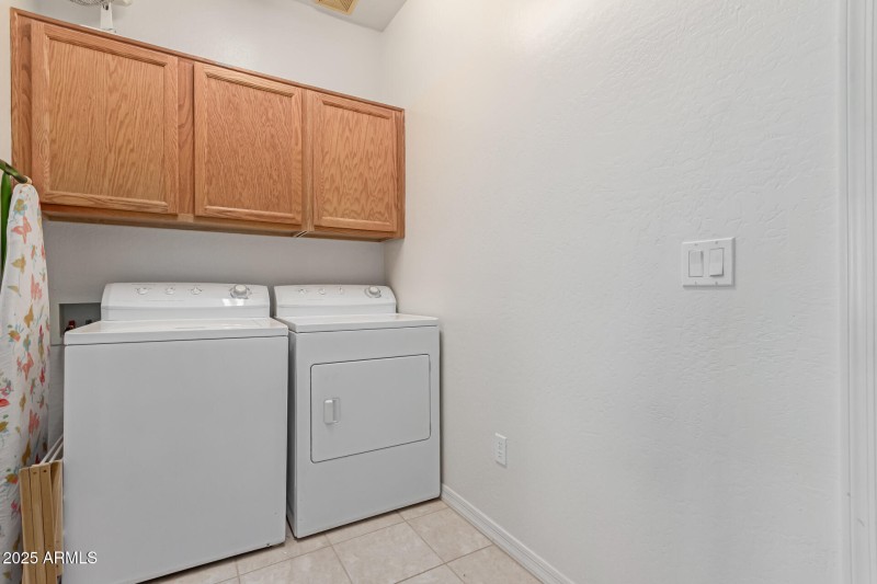 27 - Desert Willow