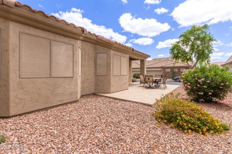 32 - Desert Willow