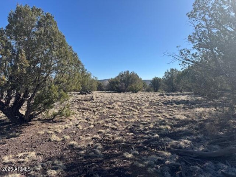 Lot Views #2