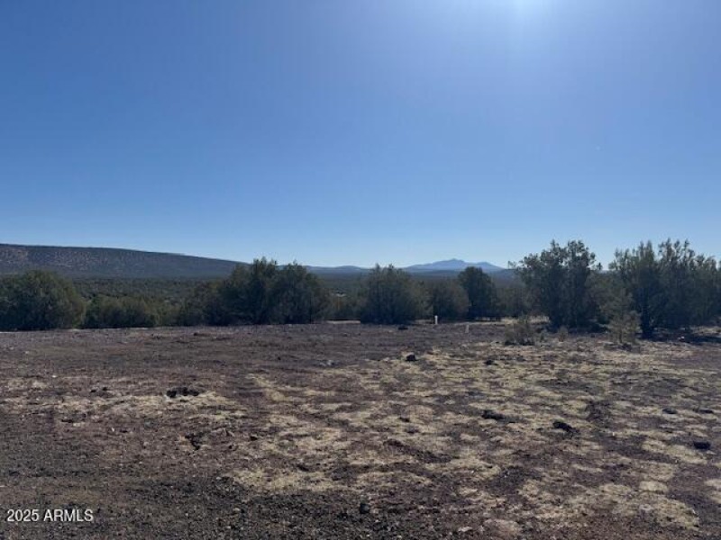 Lot Views #5