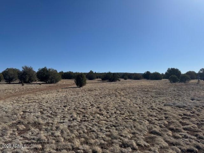 Lot Views #6