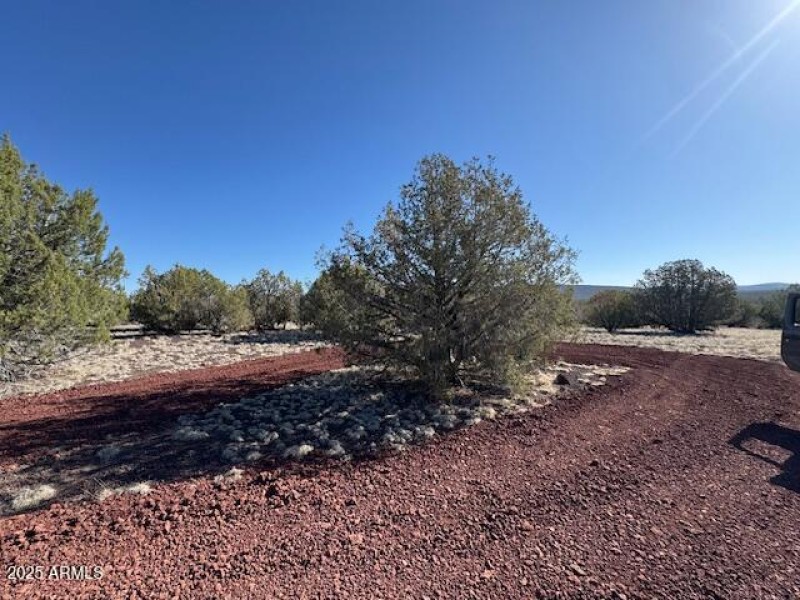 Lot Views #3