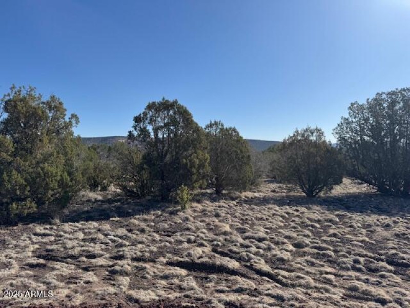 Lot Views #4