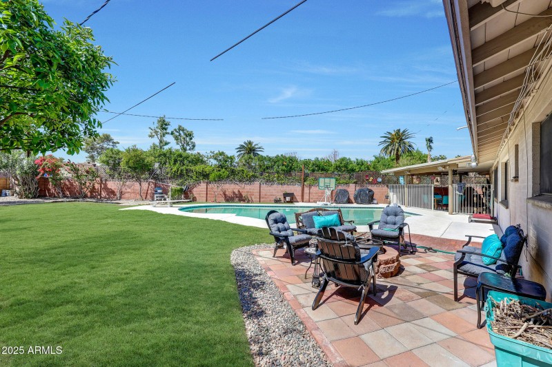Backyard 2