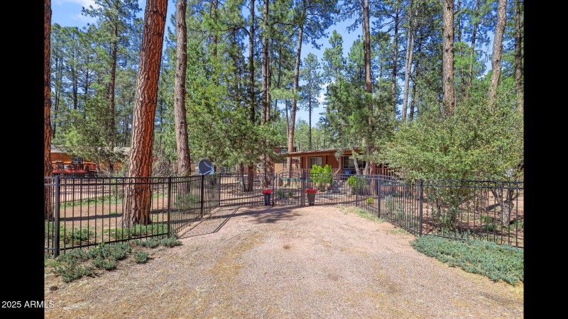 fence