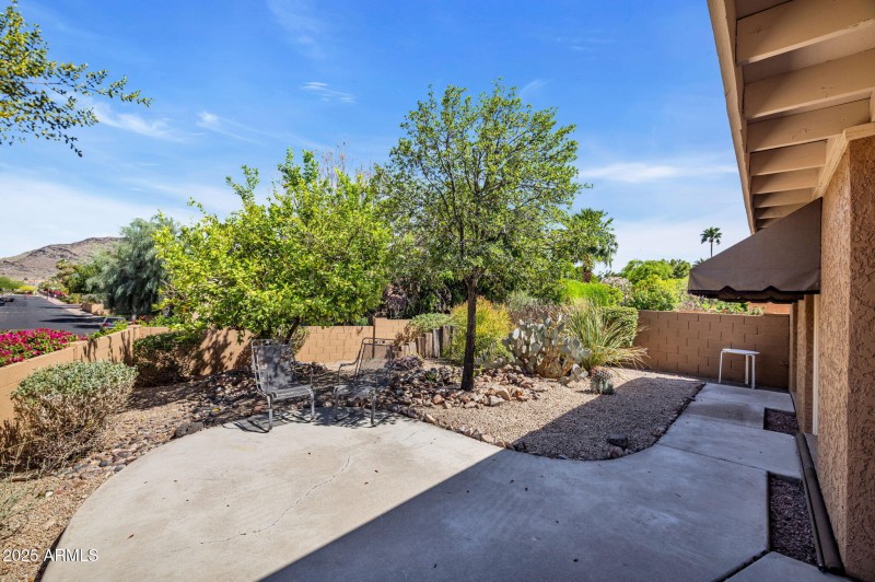 Private backyard w/ Mountain views