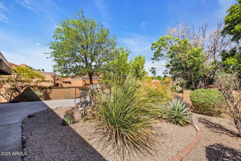 More backyard