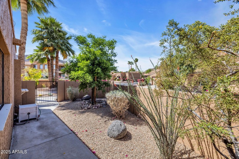 Front Side Yard