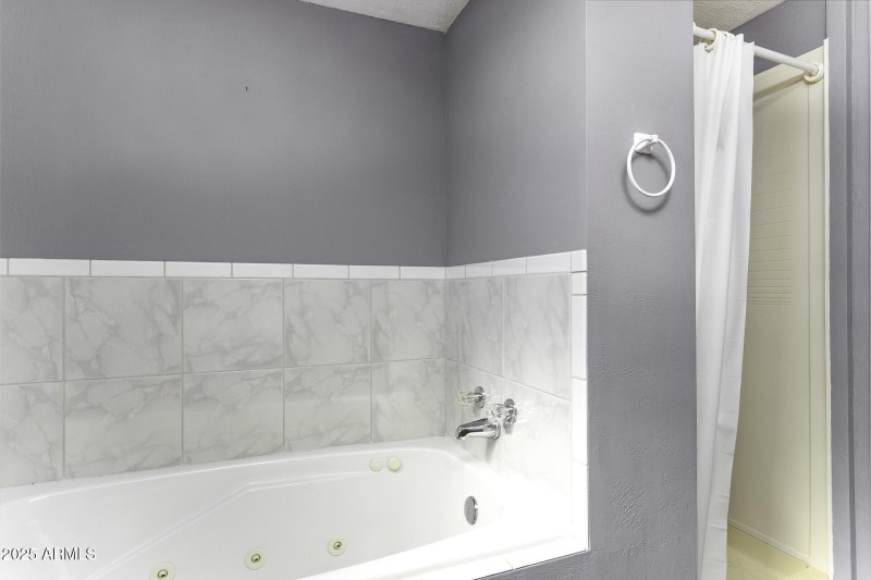 Primary Bath View