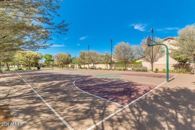 basketball court