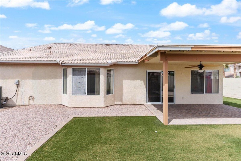 Large Backyard