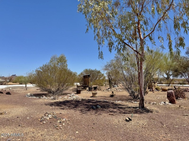 Front yard