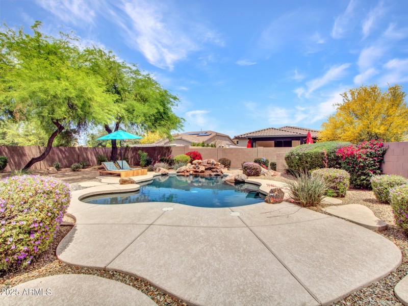 MASSIVE Backyard