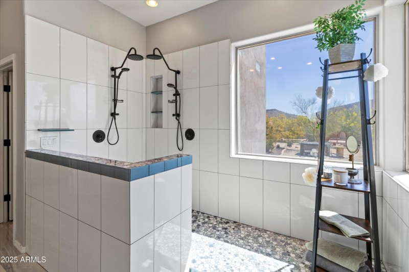 Primary Shower