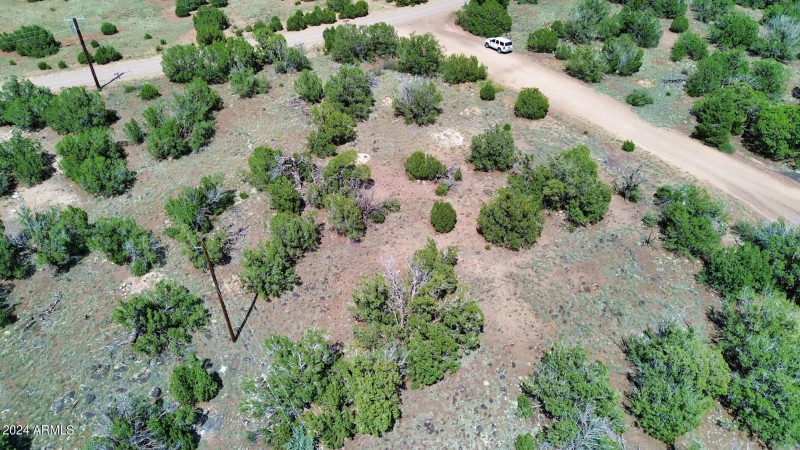 espinosa-Aerial-11