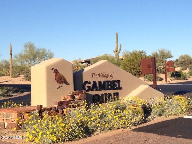 The Village of Gambel Quail