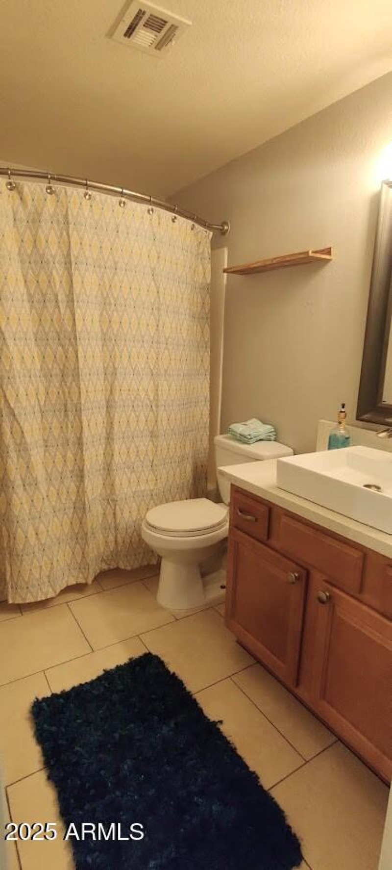 Hall Bathroom 2