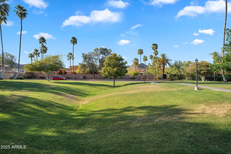 42-web-or-mls-10445 N 11th Pl Community-