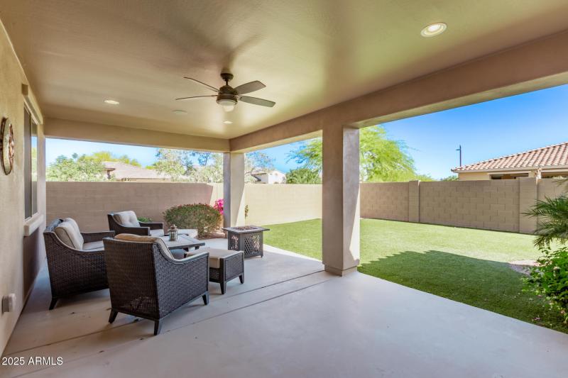 Patio/Backyard