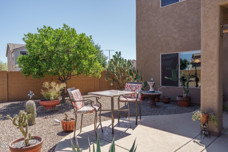 31) BACKYARD