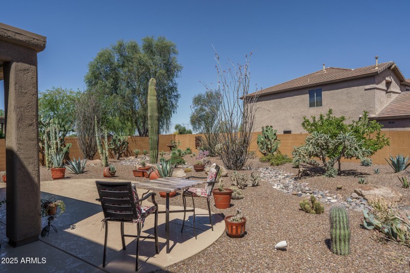 33) BACKYARD
