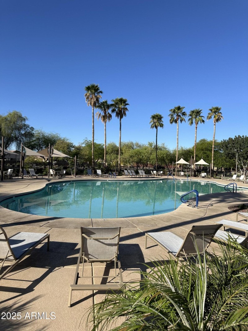 Community Pool