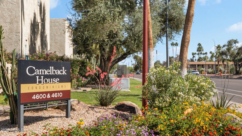 Camelback House